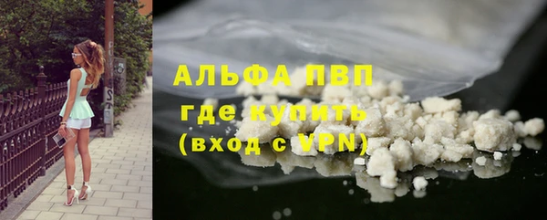 прущий лед Богданович