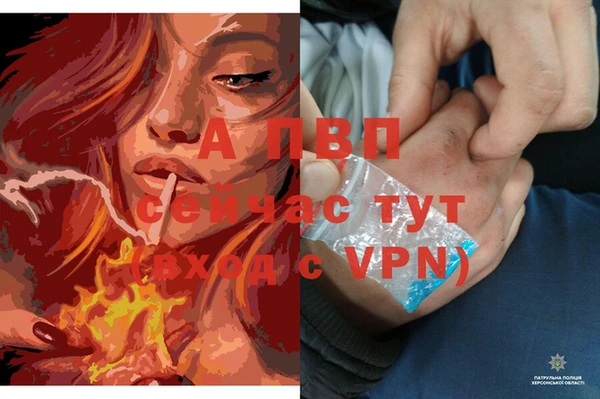 стаф Протвино