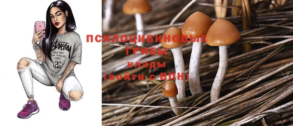 наркотики Богородицк