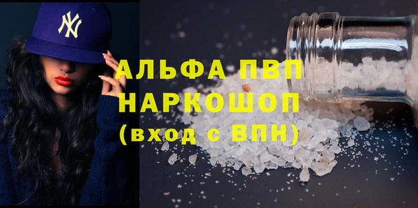 прущий лед Богданович