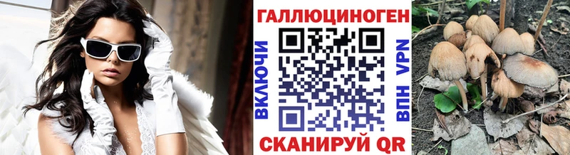нарко площадка формула  Южно-Сахалинск  Псилоцибиновые грибы GOLDEN TEACHER  закладки 